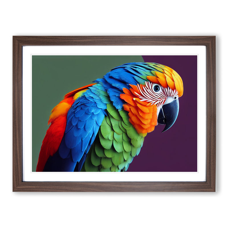 Colourful Parrot Portrait Vol.5 1 Piece Single Picture Frame Wall Art, 25cm H x 34cm W x 2cm D, Walnut Framed