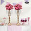 Toiles de fond et enseignes-97872269-97872270