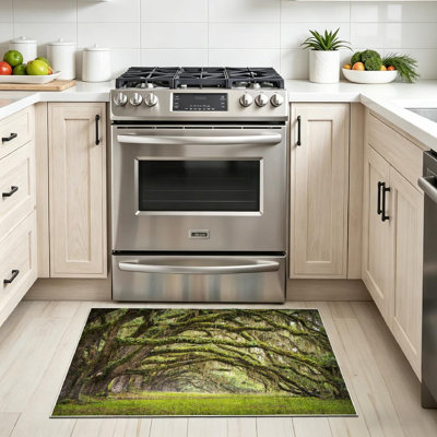 Green Machine Washable,Live Trees Forest Landscape South Old Tunnel Usa Nature Indoor Area Rug