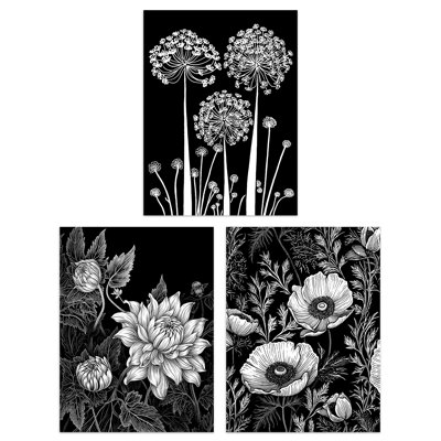 Elegant Single Allium Anemone Dahlia Flowers Black White - 3 Piece No Frame Print Set