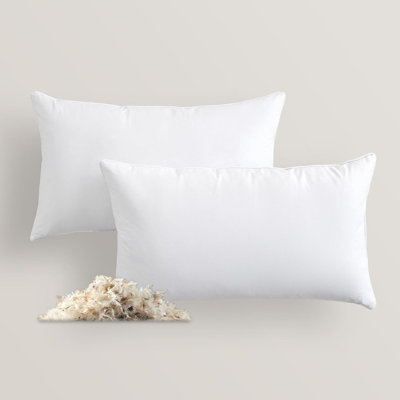 Insert de coussin carré en duvet de plumes