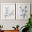 CHARCOAL FOLIAGE I - impression 2 pièces-103841424-103841427