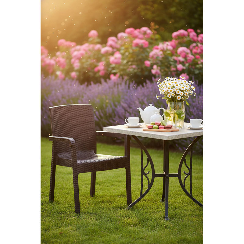 Chaise, Marron foncé