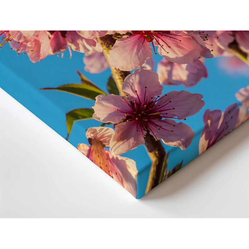 Toile, vue rapprochée de délicates branches de cerisier en fleurs ornées de douces fleurs roses, chaque pétale mettant en valeur une toile subtile