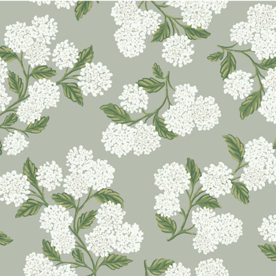 Rifle Paper Co. Hydrangea Wallpaper Double Roll