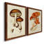 Toile encadrée de qualité supérieure Mushroom Variétés VI - prête à être accrochée-929069158-929069177