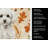 Toy White Poodle Heirloom Fall Kitchen Towel-1218231060