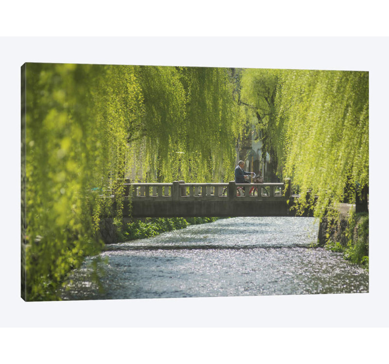 «Printemps au Japon», reproduction de photo sur toile, H 8 po x l 12 po x P 0,75 po, Toile tendue, Pas de tapis