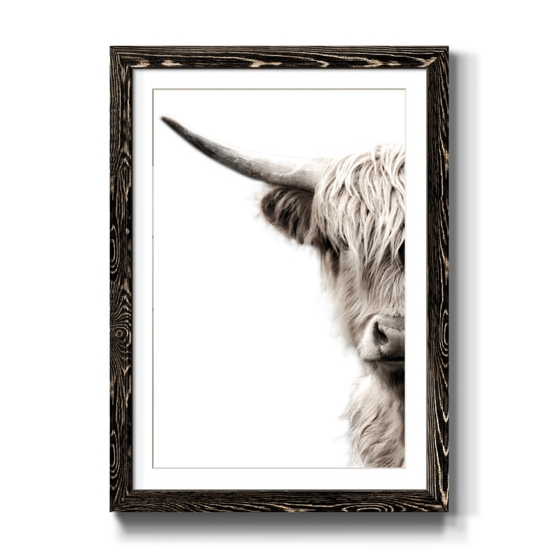 Bétail des Highlands - reproduction de photo, H 37,5 po x l 27,5 po x P 1,5 po, Papier encadré noir, Blanc