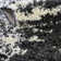 Knupp Abstract Indoor Rug