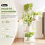 Plant Stand - Set of 4