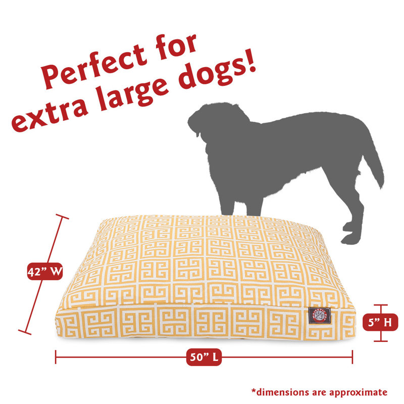 Coussin Towers Angela, Très grand (l 42 po x P 50 po x H 5 po) ;, Agrume