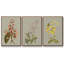 Botanical Array II - ensemble de 3 reproductions de photo sur toile-116332100-116332110