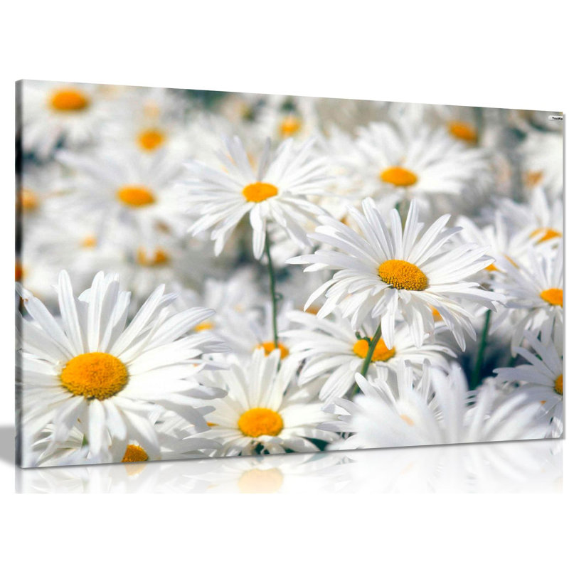Daisys Daisy - Wrapped Canvas Print, 41cm H x 61cm W