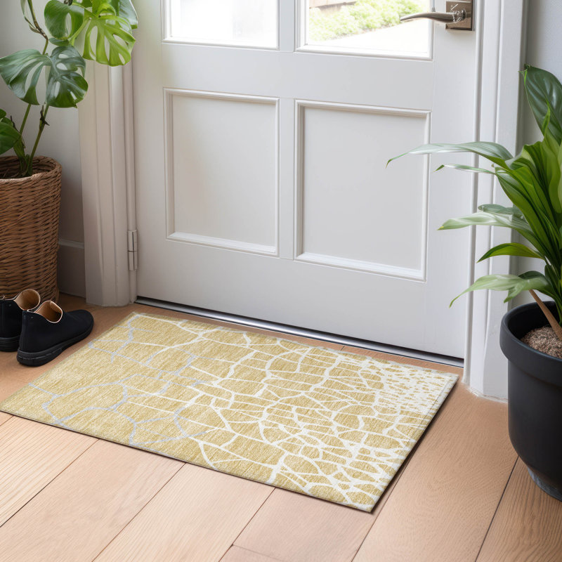 Paillasson d'extérieur Chayden, Rectangle 1 pi 8 po x 2 pi 6 po