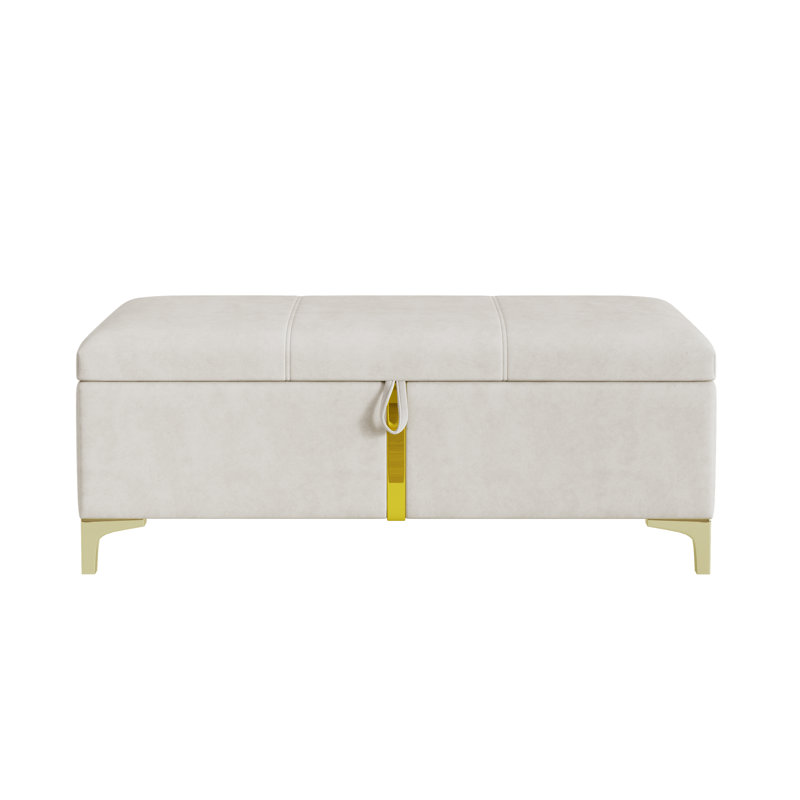 Élégant repose-pieds de rangement rembourré, banc de rangement avec pieds en métal pour la chambre à coucher, le salon, entièrement assemblé sauf les pieds, noir