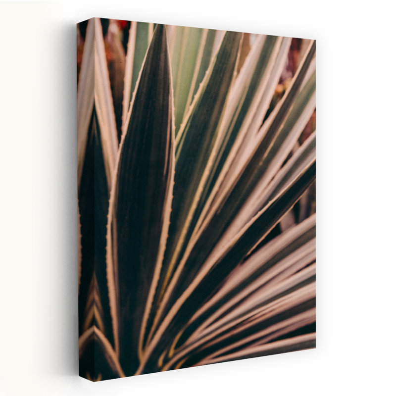 «Beaming Through Floral & Botanical Nature», photographie en gros plan, art abstrait, tropical, H 36 po x l 24 po