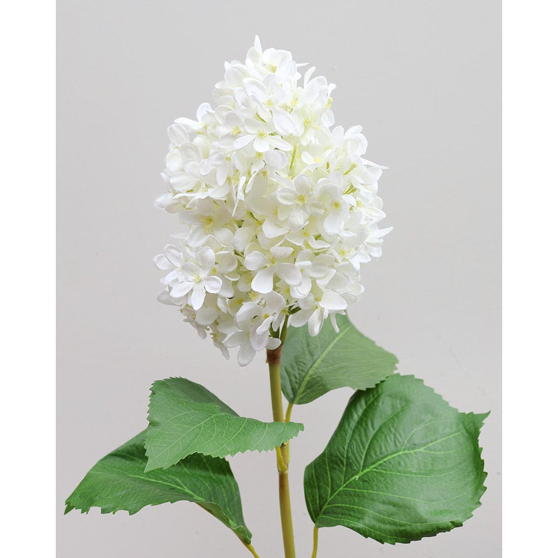 Cream White Cone Hydrangea 35.5"