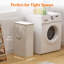 Bhargava Fabric Laundry Hamper with Handles-651260594