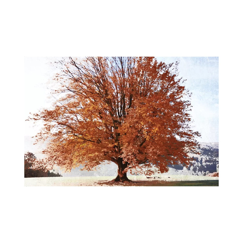 Season Of Fall by Irene Weisz - Wrapped Canvas Print, 20.32 cm H x 30.48 cm W