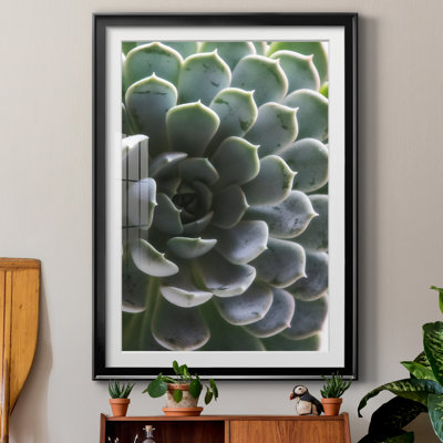 «Zen Succulent I» par Irene Weisz - reproduction de photo sur papier encadrée