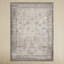 Lynnette Oriental Gray/Beige Area Rug-1240335897