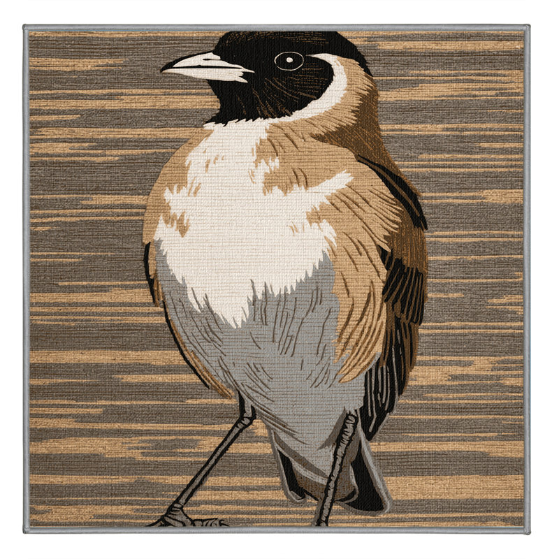 Washable Common Bulbul Birds Area Rug, Square 4'