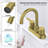 Topcraft Stainless Steel Two Handle Bathroom Faucet-111923568