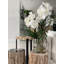 Vanda Orchids And Driftwood Inside Glass Cylinder