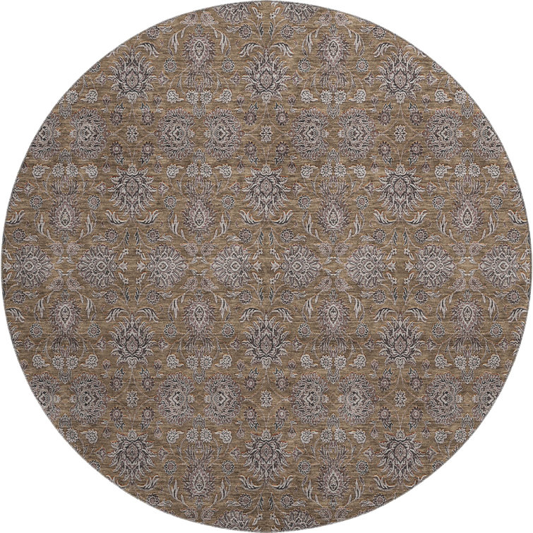 Premium Machine Washable Prisco Chocolate Rug
