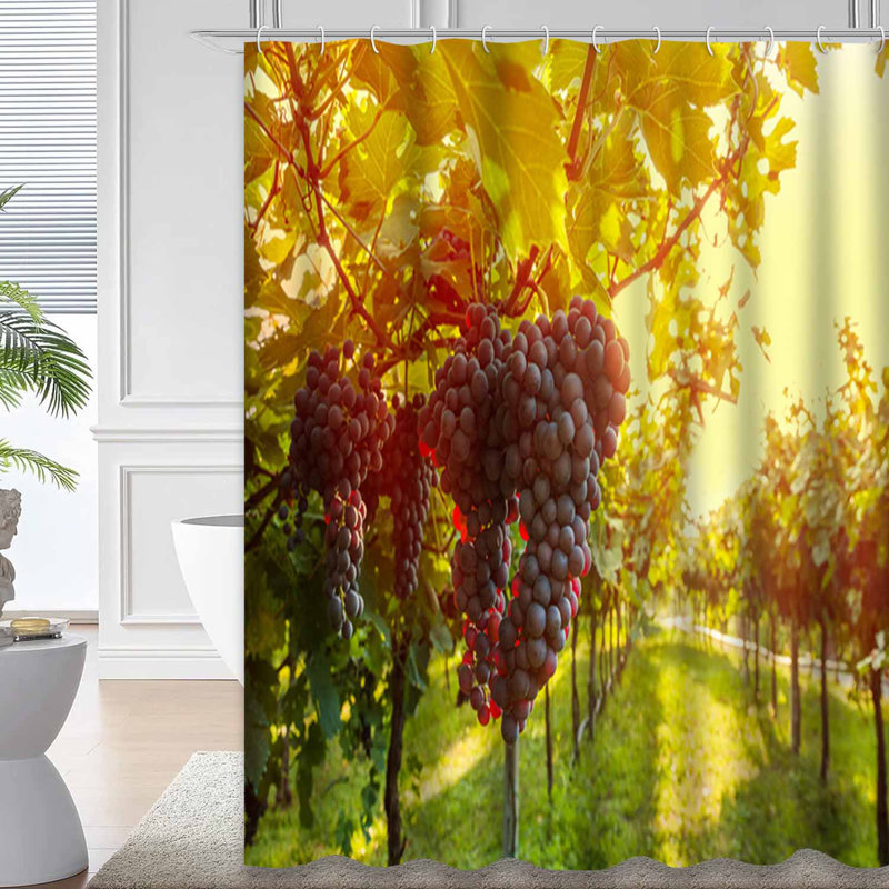 California Wine Country Vineyard Grape Harvest Shower Curtain with 12 Hooks, L 72 po x l 78 po