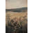 "Landscape Flower" Framed Textured Wall Art-146084220-146084206
