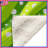 Green Stripes Fleece Throw Blanket - Pattern Throws for Sofas or Beds-123071380