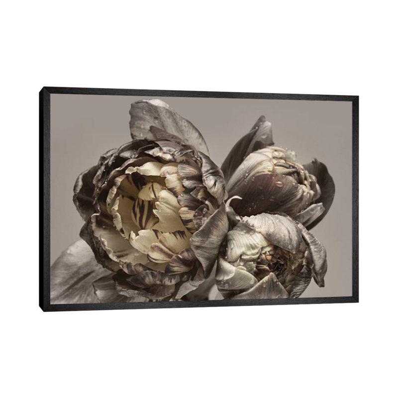 Baroque IV - Print on Canvas, 45.72cm H x 66.04cm W x 3.81cm D, Black Framed
