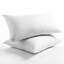 Oreiller en duvet de canard (ensemble de 2)-2091810033