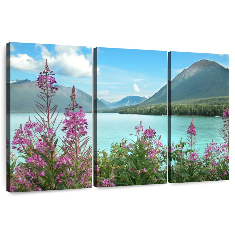 Harnek épilobe le long de la rivière Kenai, H 28 po x l 45 po