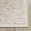 Kourou Oriental Area Rug-23829397