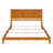Kindig Low Profile Foundation Bed-105291683-23570037