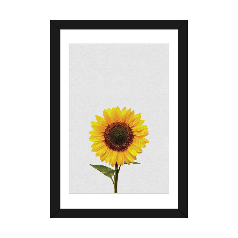 « tournesol », reproduction d’impression sur toile, H 32 po x l 24 po x P 1 po, Papier d'art encadré noir, Blanc