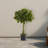 Bay Leaf Topiary Silk Tree