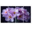 Monochromes parfumés Fusion Daffodils II - ensemble de reproductions d'art jonquilles murales-1943674299