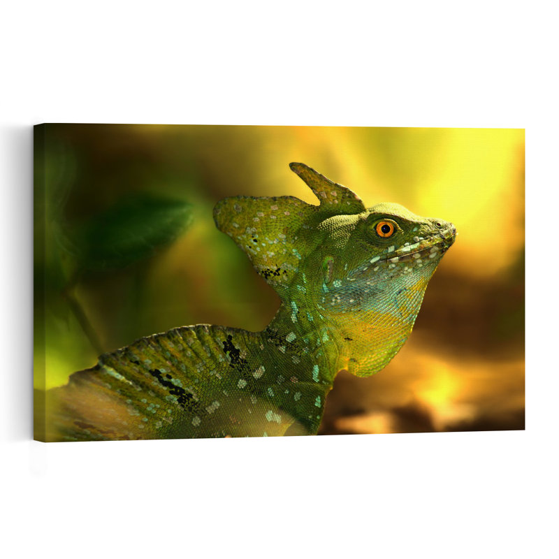 Green Basilisk Portrait Colorful Vibrant Lizard Nature Tropical Wall Art Print by Jimmy Hoffman - Print