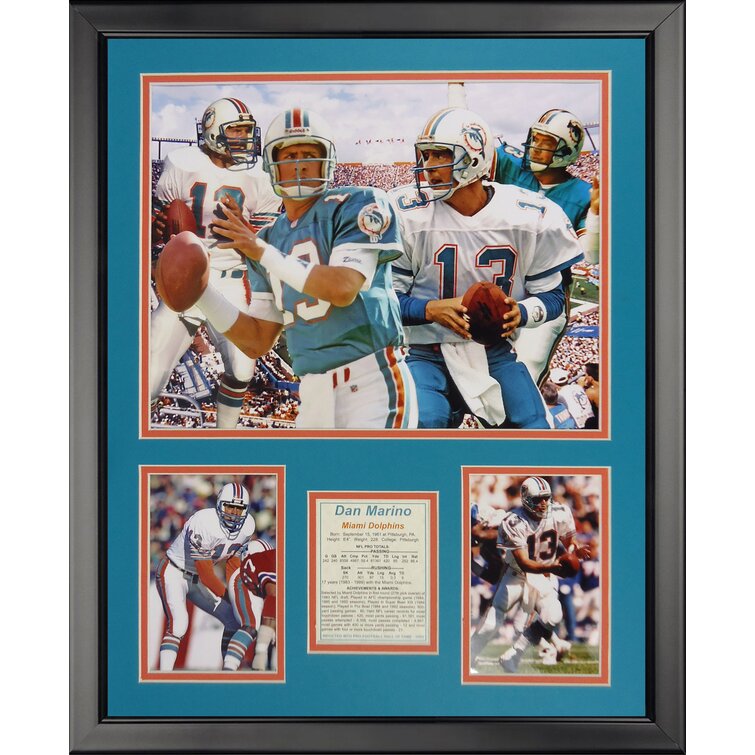 : Miami Dolphins Black Frame Jersey Display Case