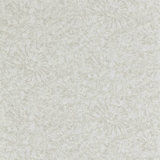 Ammonite Wallpaper