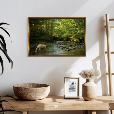 Spirit Bear In Hartley Bay