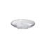 Sand Dollar Plate, Medium