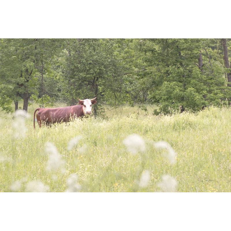 Summer Farm II by Sue Schlabach - Wrapped Canvas Art Prints, 20cm H x 30cm W x 3.8cm D
