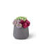 Leigh Sedum Arrangement