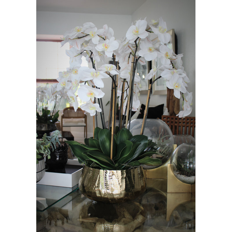 Roberi bowl with multiple stems of white Phalaenopsis orchids, 38" H x 22" W x 22" D, White