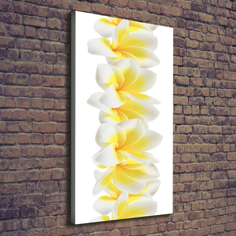 Plumeria - Wrapped Canvas Print